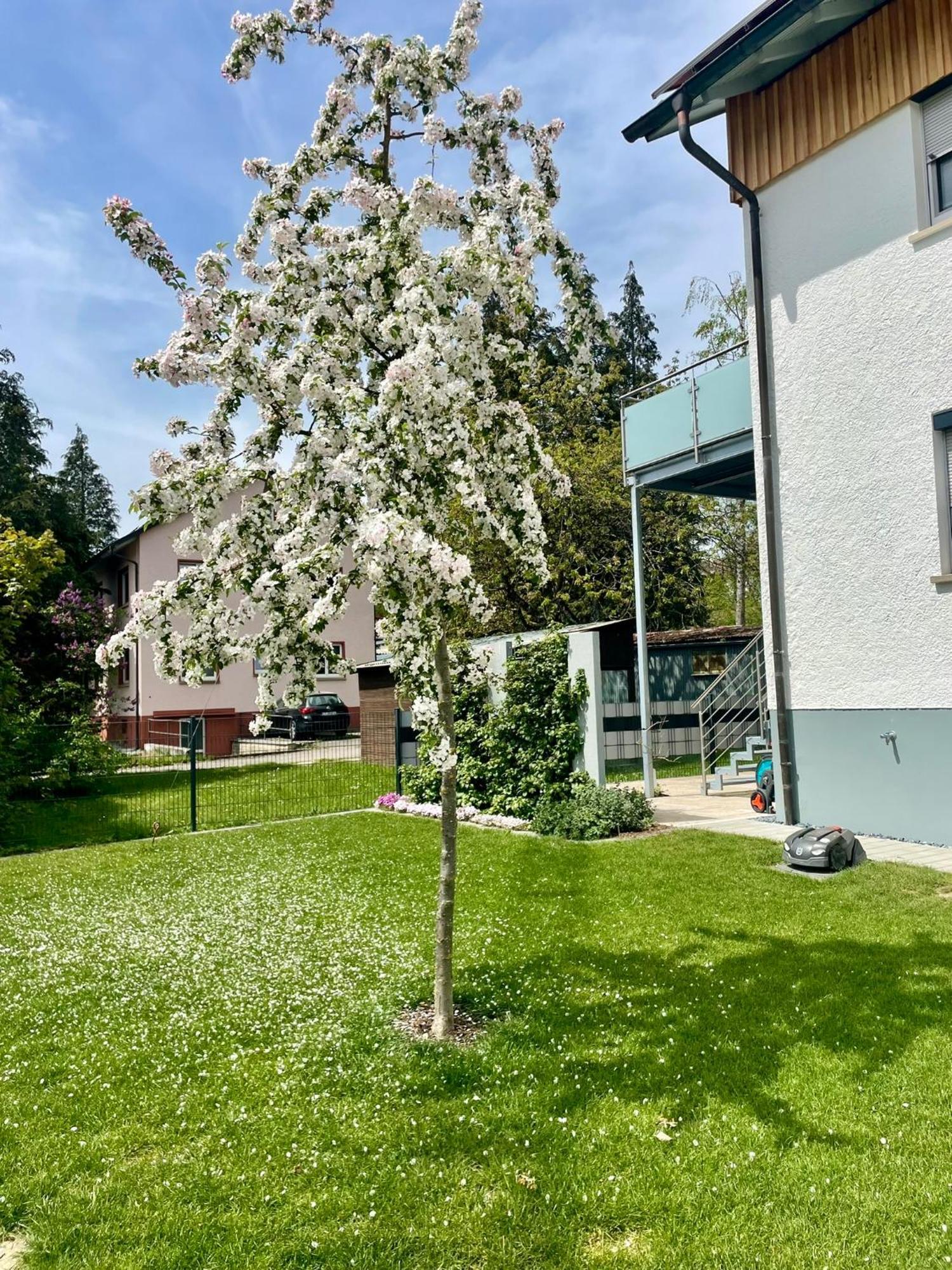 Anitas Ferienwohnung Messkirch Bagian luar foto